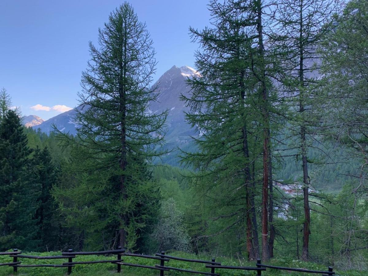 Casa Camas, Wide 2Bedroom, Feel The Mountain Breuil-Cervinia Zewnętrze zdjęcie